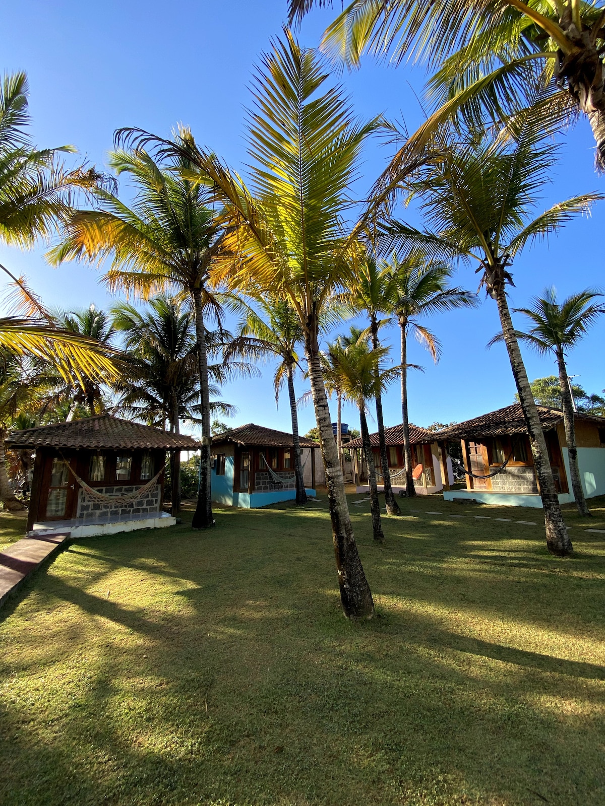 A cluster of chalets is surrounded by lush palm trees, casting shadows on the well-maintained grassy area. The bright blue sky enhances the inviting atmosphere of the outdoor space, providing a pleasant view of the surrounding accommodations.