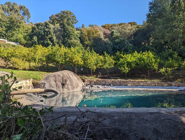 Moons Mill gallery image 5