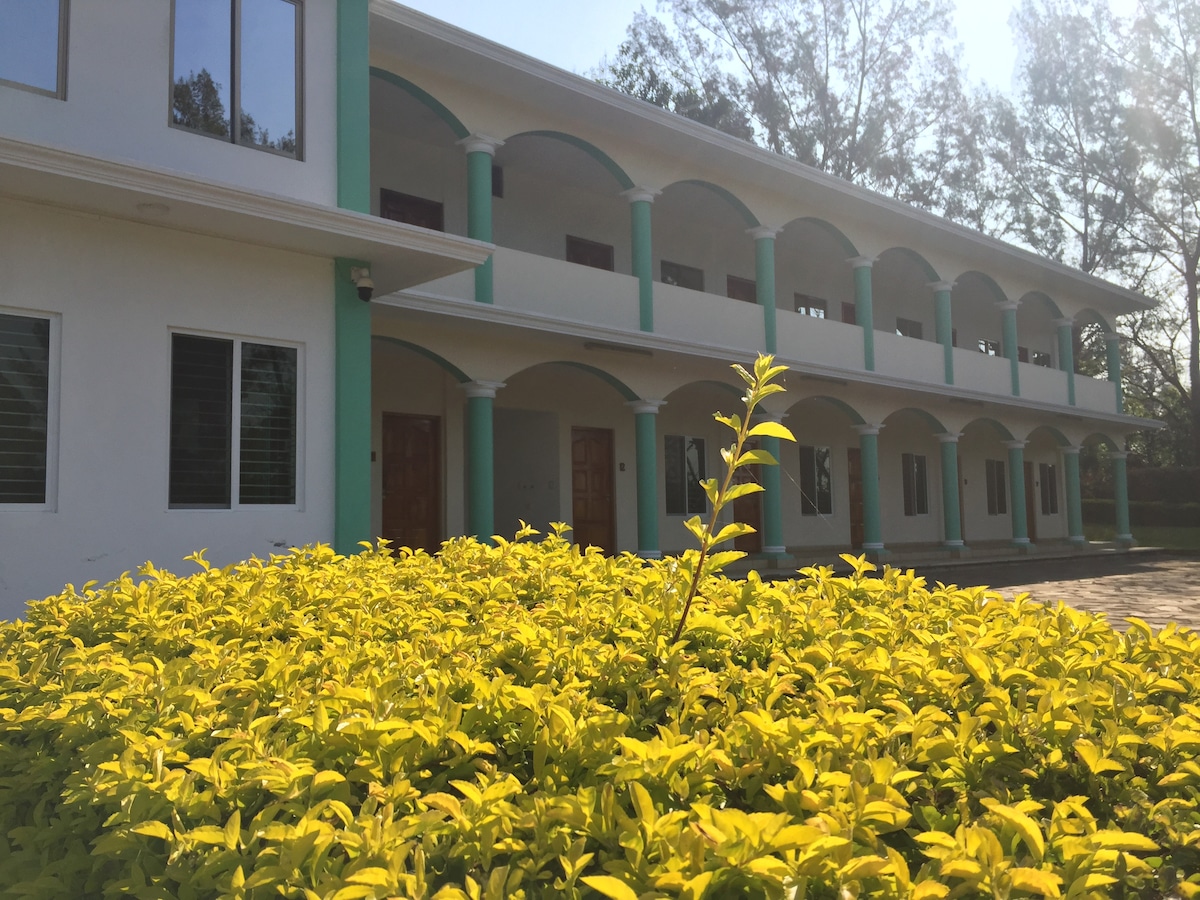 A modern colonial building features arched windows and doors, surrounded by a vibrant yellow bush. Sunlight highlights the structural details, creating a welcoming façade amidst the greenery.