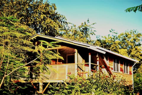 Your Tree Top Home For Exploring Caves and Ruins