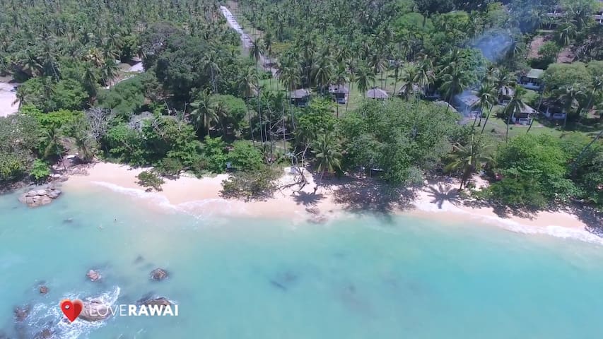 🦋2 Pools View 1 BR Beachfront Corner Unit Condo🐠