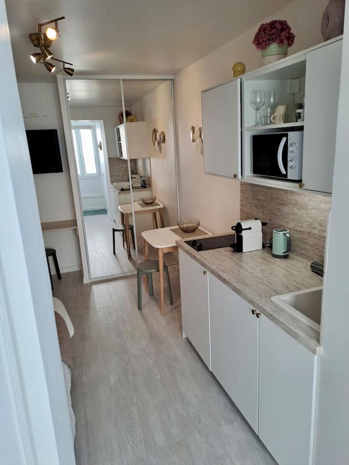 Studio Climatisé Hypercentre/2 Min Plage - ibis Styles Ajaccio Napoleon