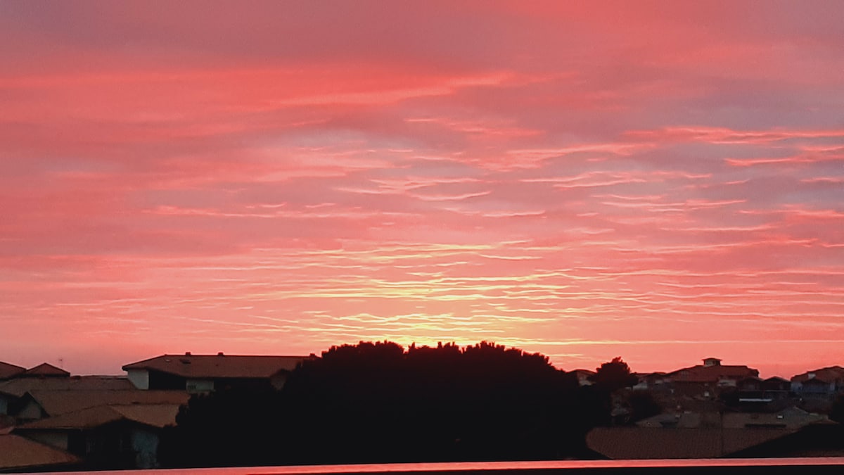 A vibrant sunset is captured in the sky, displaying shades of pink and orange. Silhouettes of rooftops are visible in the foreground, framed by a dark outline of trees, creating a serene and colorful evening scene.