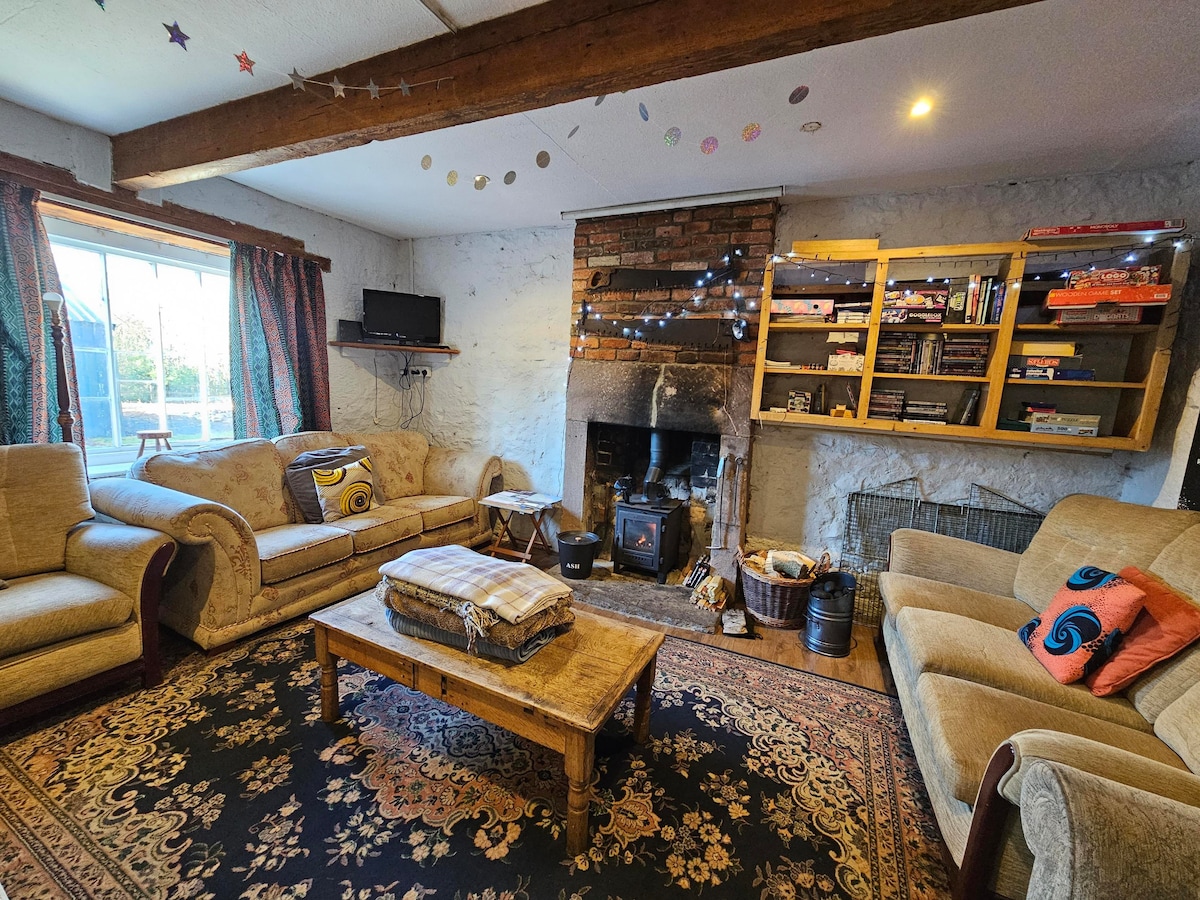 The living room showcases comfortable seating arrangements with light-colored sofas facing a rustic fireplace. A wooden coffee table rests in the center, complemented by a patterned area rug. Shelves filled with games and a small television are positioned against a stone wall beneath large windows, allowing natural light.