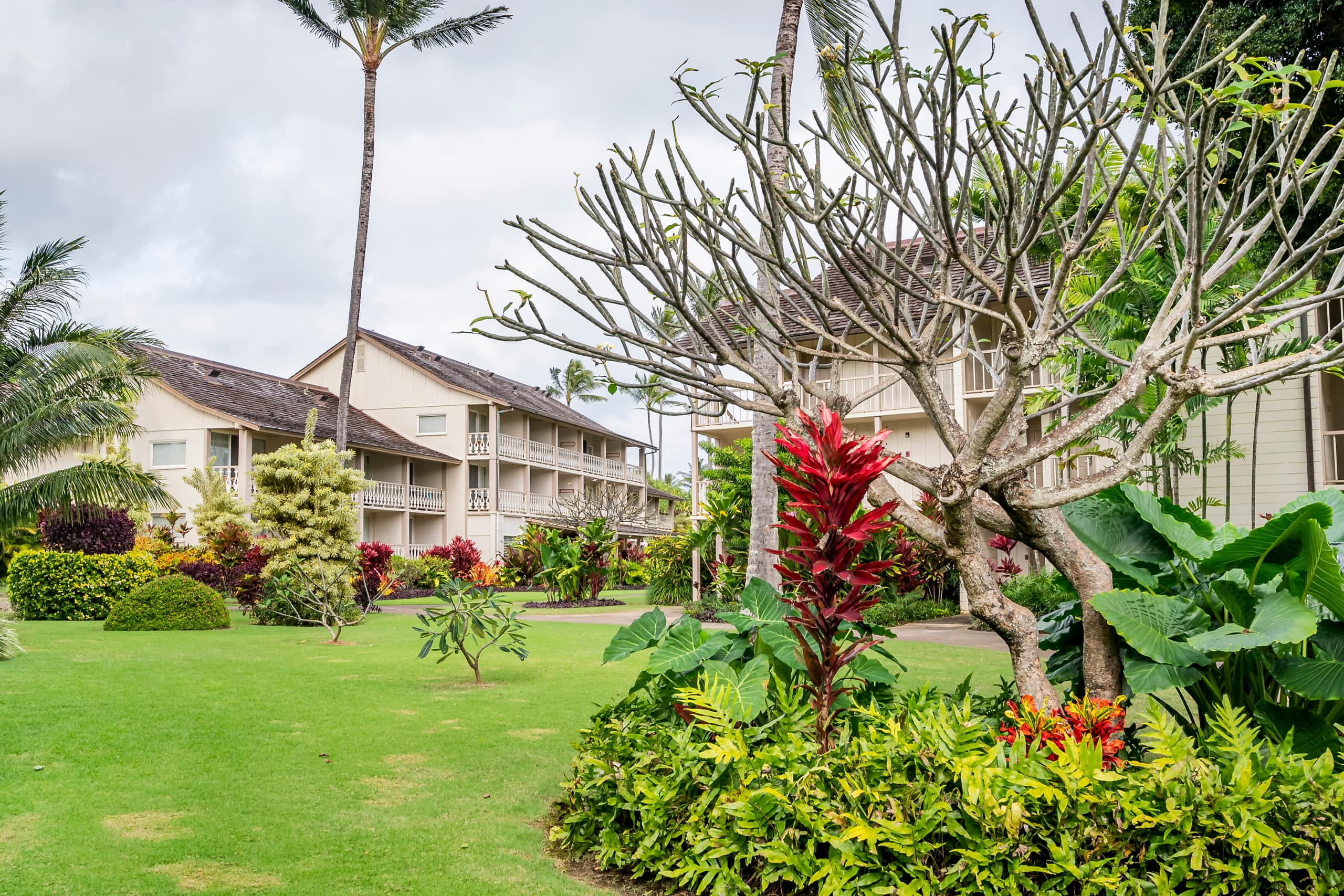 Islander Studio Gem Beachfront 2 Full Beds w/AC - Photo 24