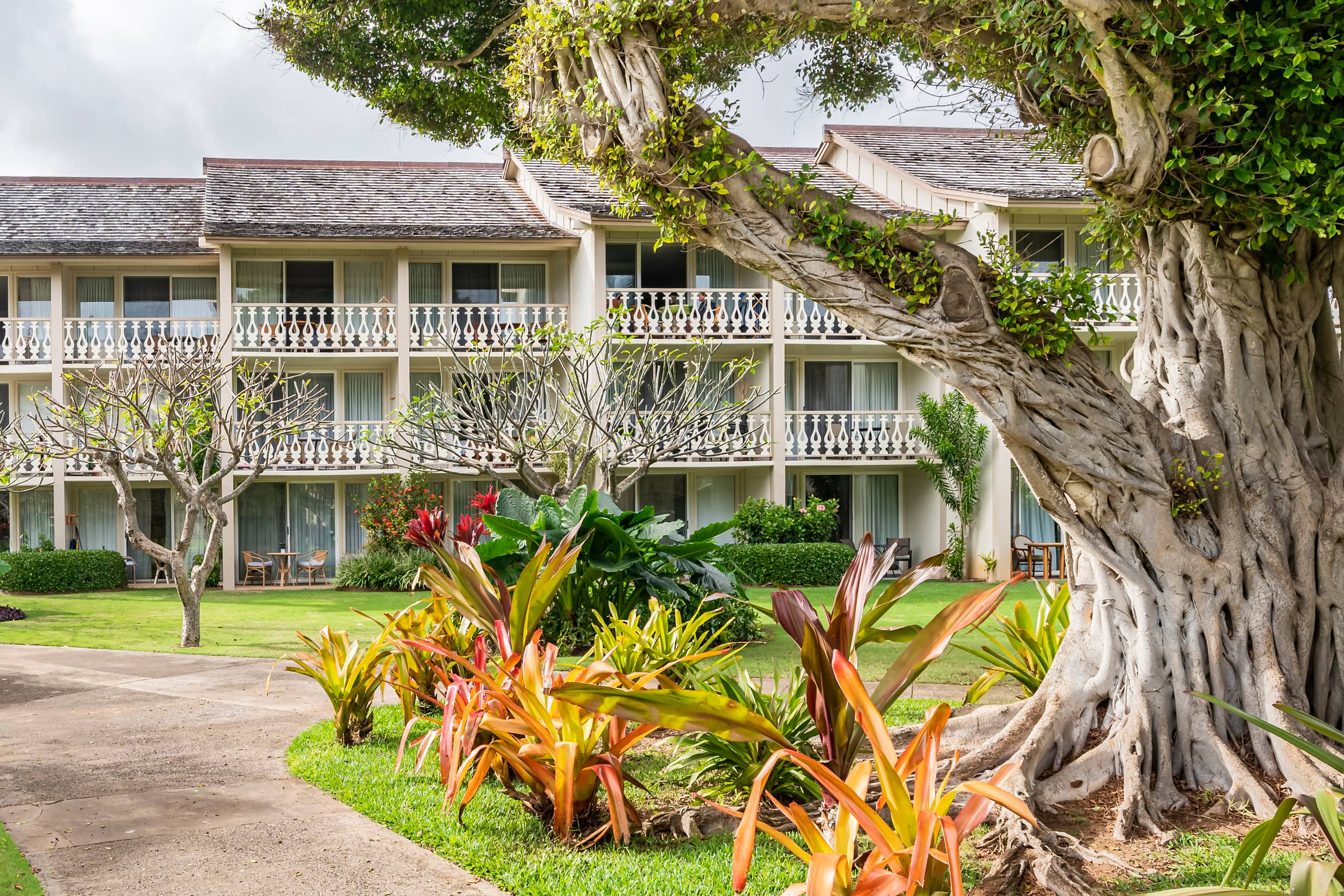 Islander Studio Gem Beachfront 2 Full Beds w/AC - Photo 23