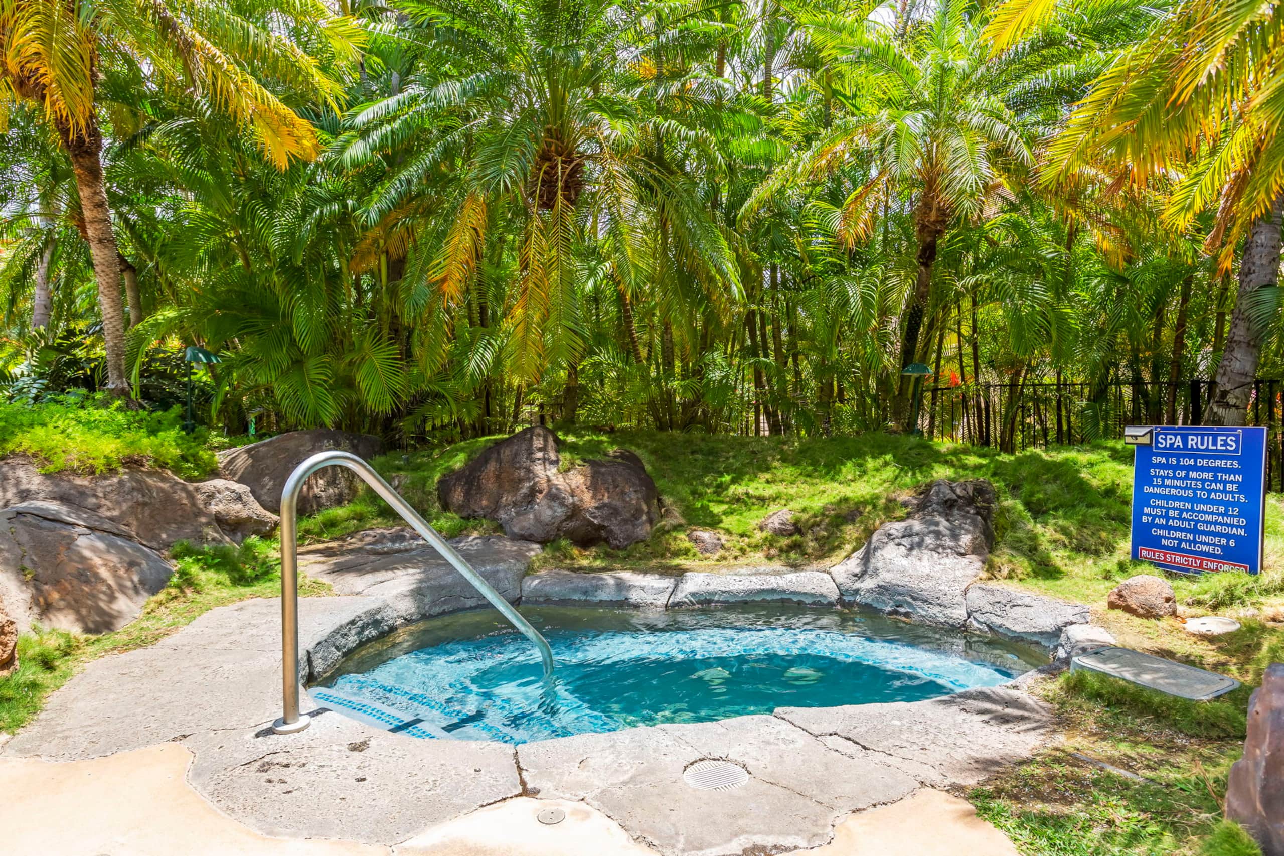 Condo in Kihei · ★4.97 · 1 bedroom · 2 beds · 2 baths - Image 16