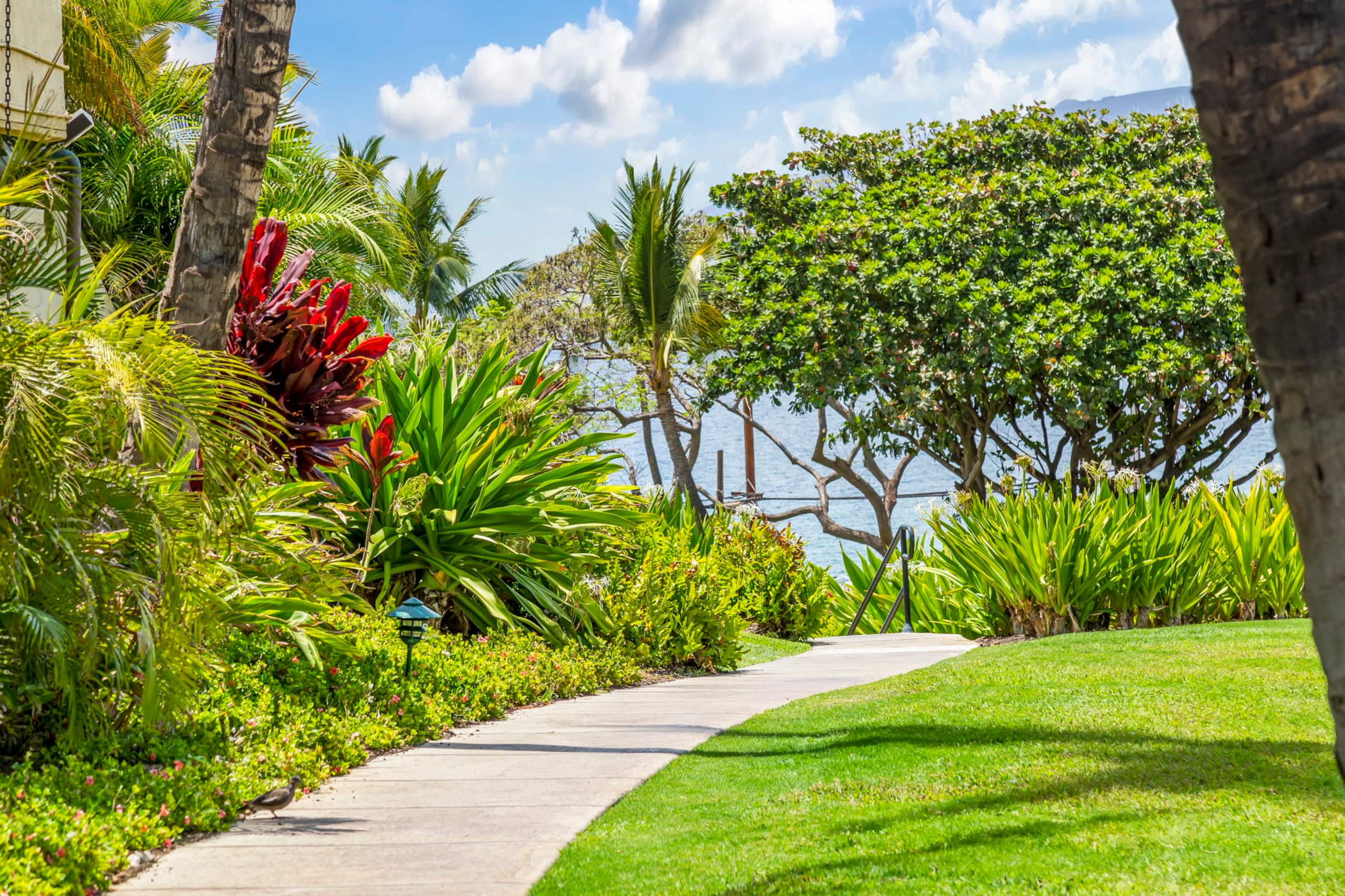Condo in Kihei · ★4.97 · 1 bedroom · 2 beds · 2 baths - Image 28