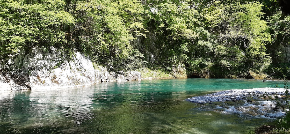 A serene riverbank is lined with lush greenery, reflecting vibrant emerald hues in the calm water. Smooth rocks are visible at the water’s edge, and sunlight filters through the trees, creating dappled light on the surface of the river.