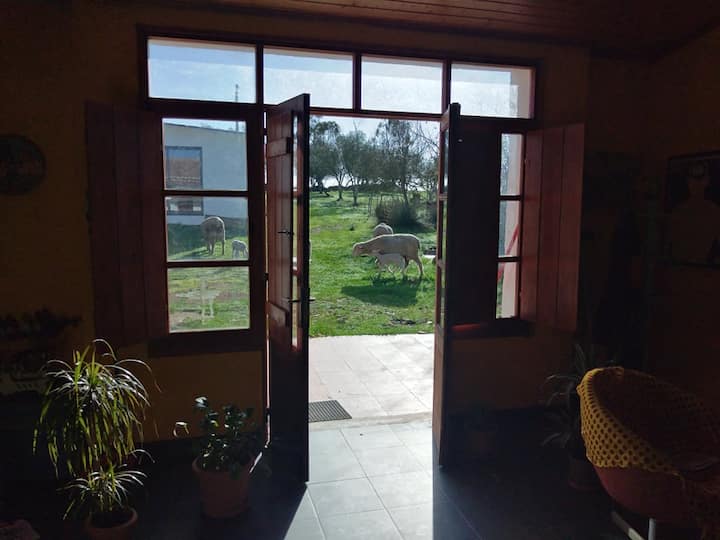Maison à La Campanhe En Plein Alentejo - Castro Verde