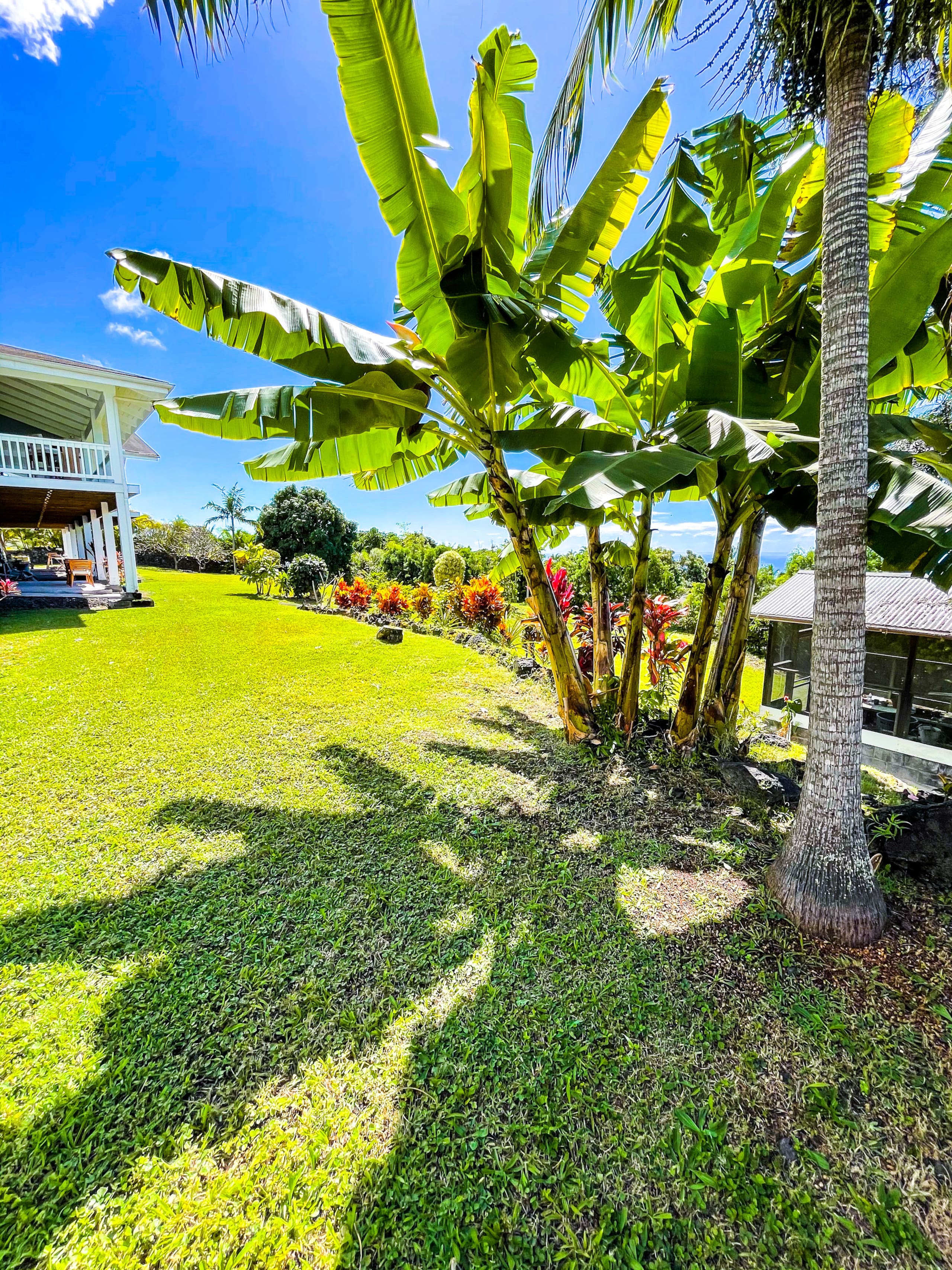 Picturesque Private Studio / Panoramic Ocean Views - Photo 10