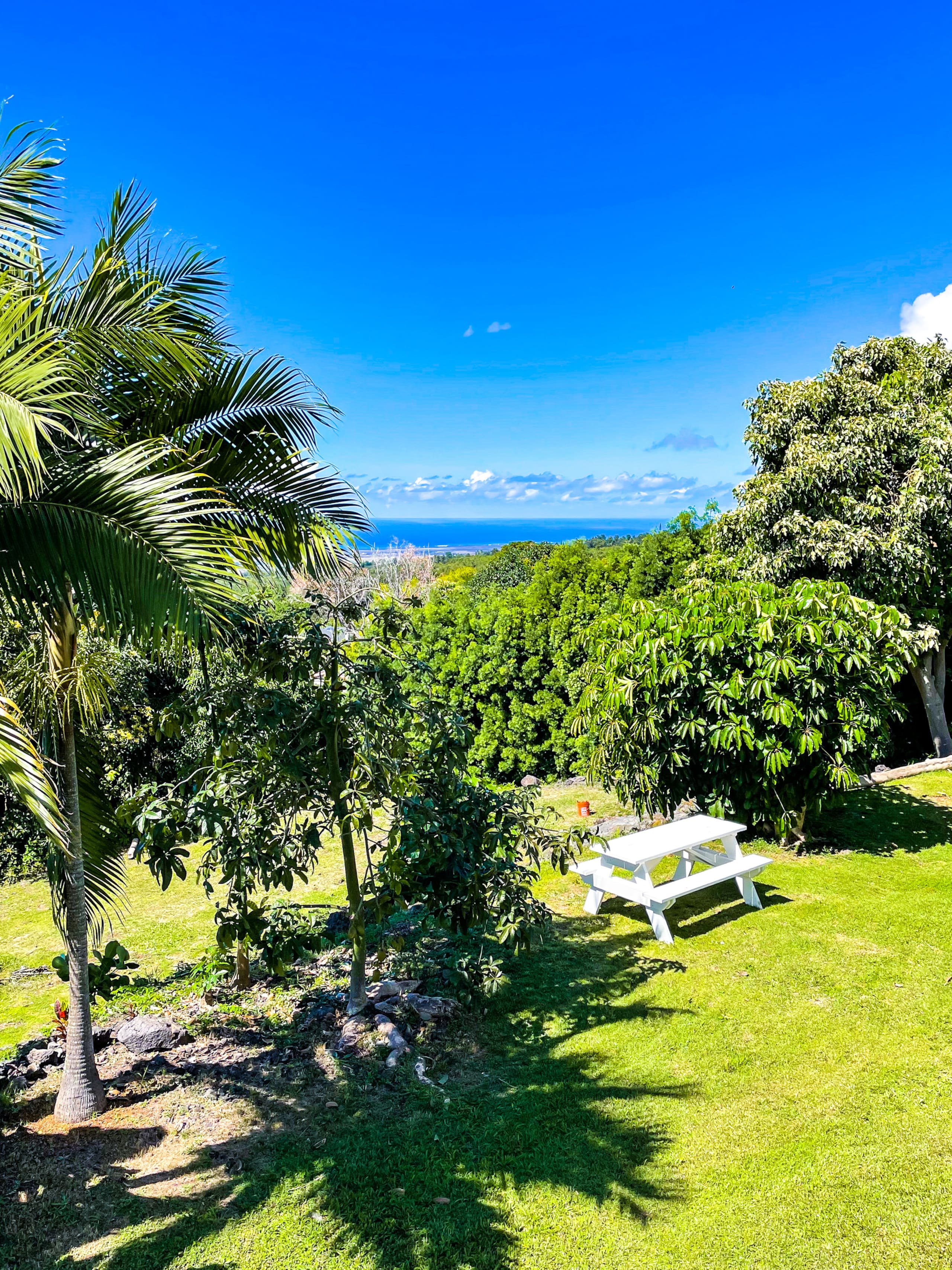 Picturesque Private Studio / Panoramic Ocean Views - Photo 21