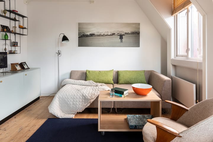 Sala de estar n .º 2. El sofá se puede convertir en una tercera cama. 