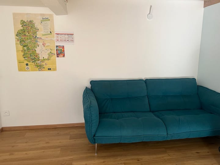 Cozy Et Grand Apart En Centre Ville - Villefranche-sur-Saône