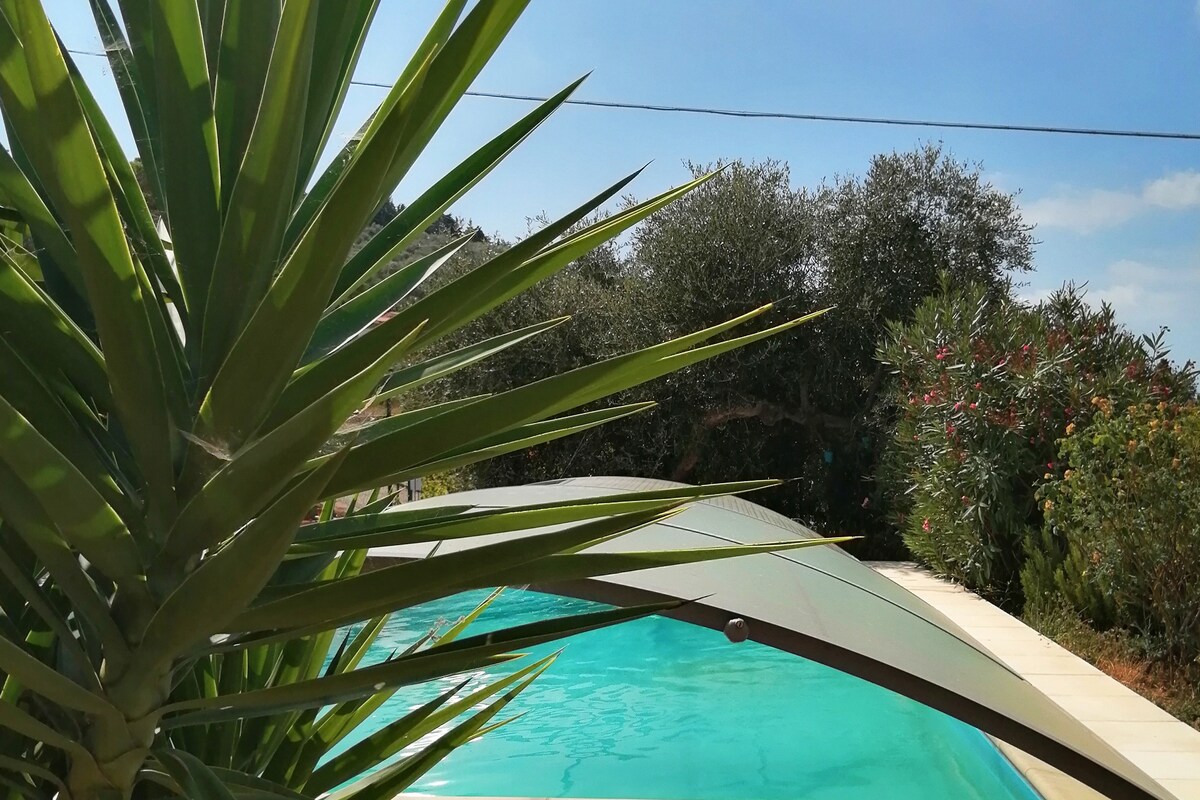 A serene swimming pool is flanked by lush greenery, featuring a curved glass cover. Olive trees and vibrant flowers create a natural backdrop under a clear blue sky, inviting relaxation in a peaceful outdoor setting.