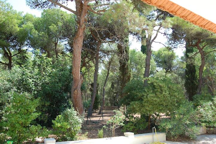 villa with large garden near the sea gallery image 4