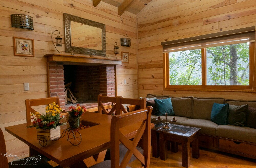 A warm and inviting living area is seen, featuring natural wooden walls and a comfortable seating arrangement. A wooden dining table is positioned near a rustic fireplace, which is decorated with a mirror above it. Natural light filters through a window, illuminating decorative plants.