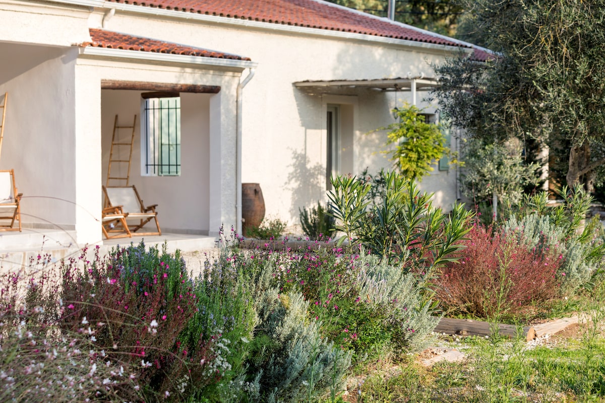 A peaceful outdoor area showcases a charming guesthouse with a terracotta roof. Lush greenery, flowering shrubs, and herbaceous plants contribute to the serene garden. Two wooden chairs are positioned on the porch, offering a welcoming space to enjoy the tranquil surroundings.