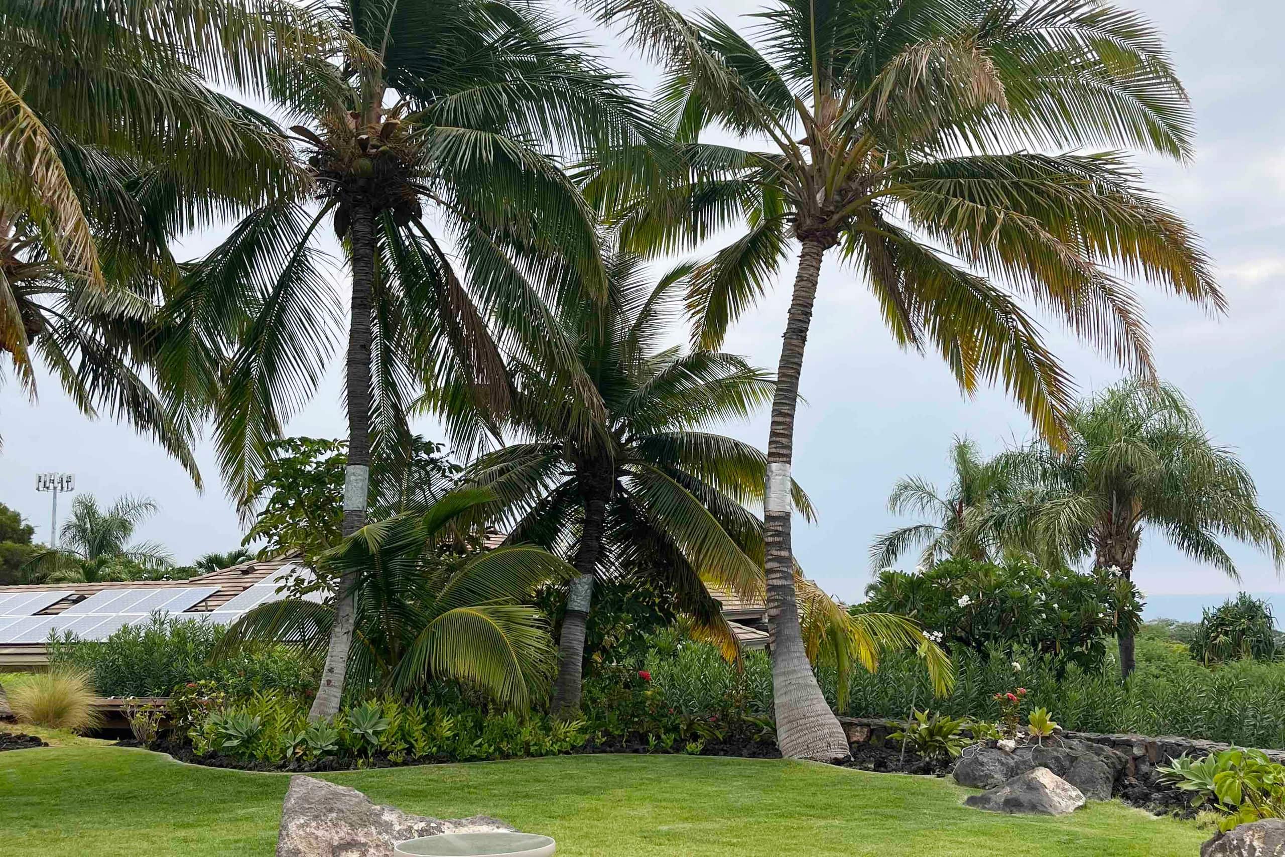 Home in Waimea · ★4.87 · 2 bedrooms · 4 beds · 3 baths - Image 23