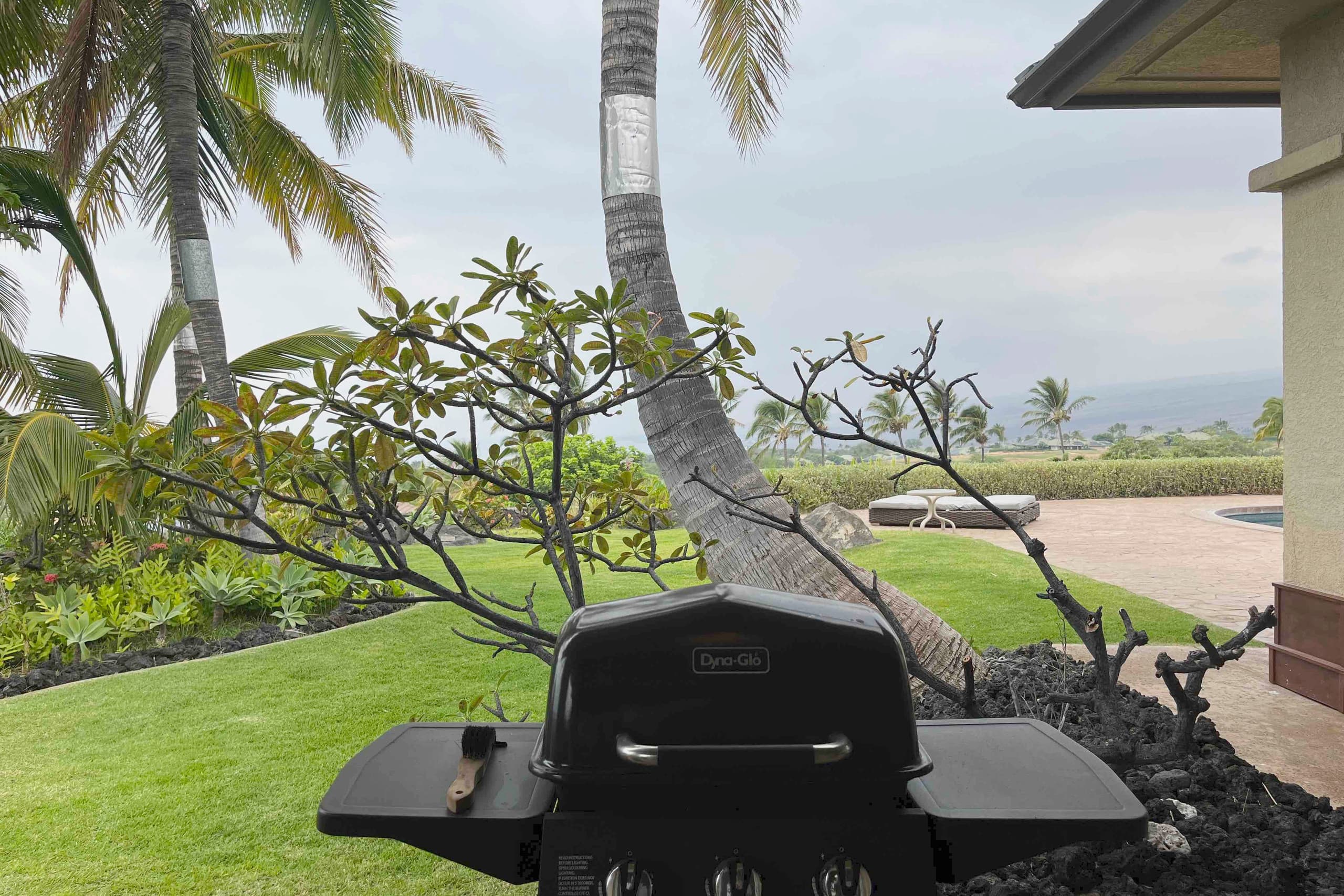 Home in Waimea · ★4.87 · 2 bedrooms · 4 beds · 3 baths - Image 10