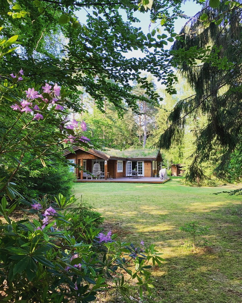 The cozy log cabin is set amidst a lush green landscape, surrounded by tall trees. Colorful flowers bloom in the foreground, adding a natural touch to the scene. Large glass doors open to a spacious terrace, integrating the cabin with its serene environment.