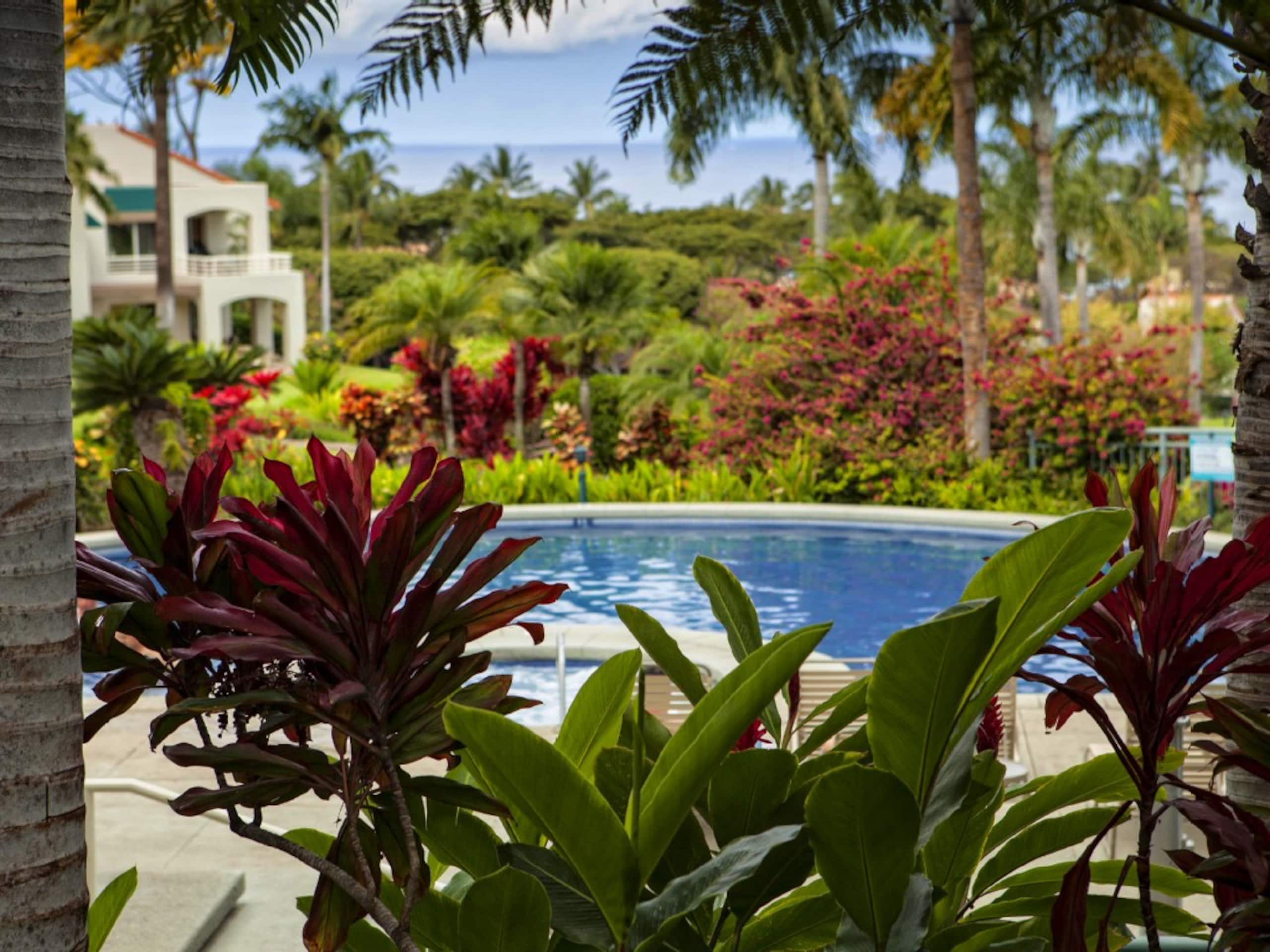 Condo in Kihei · ★4.99 · 1 bedroom · 1 bed · 2 baths - Image 1