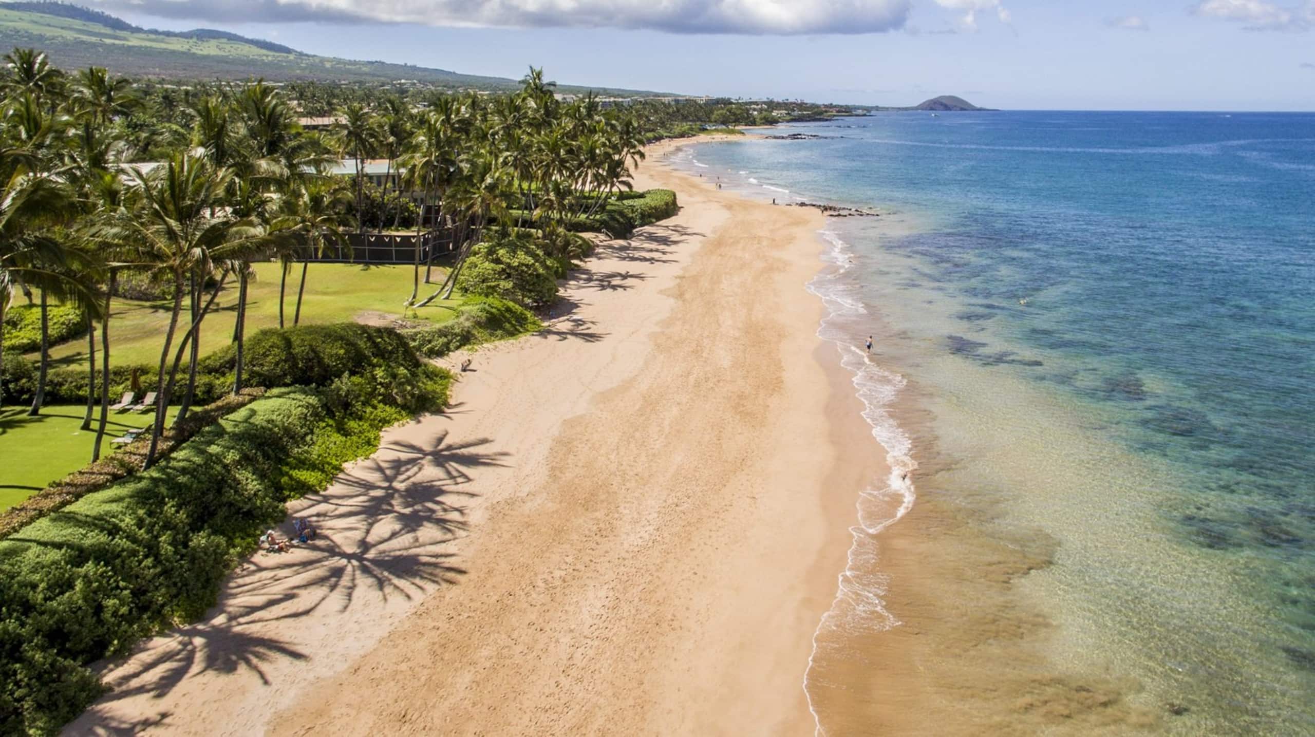 Condo in Kihei · ★4.99 · 1 bedroom · 1 bed · 2 baths - Image 4