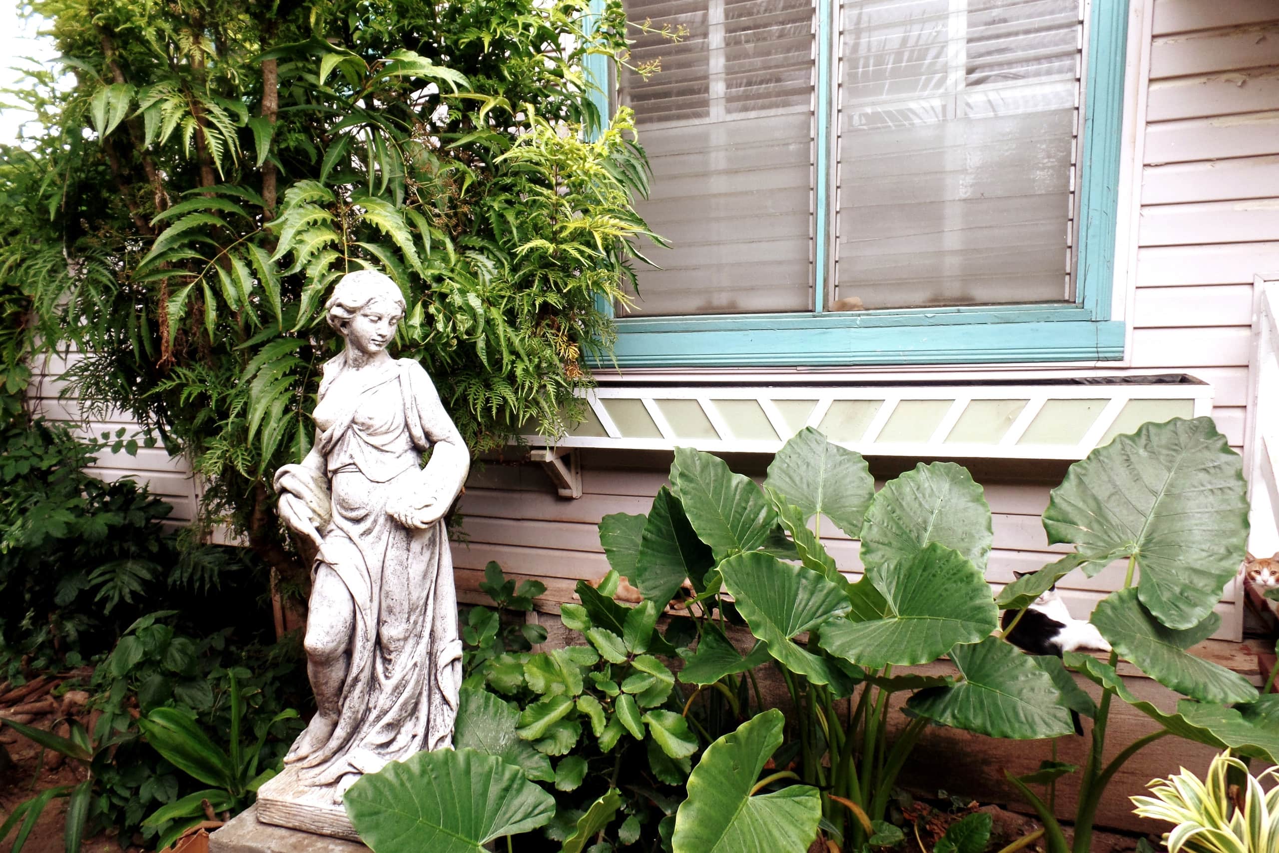 Distinctive 1 BR w/lanai 5 min to beach - Photo 20
