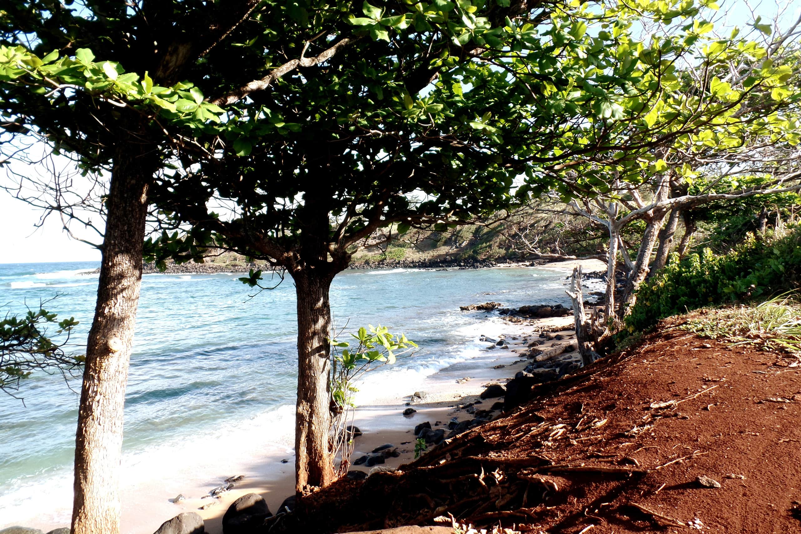 Distinctive 1 BR w/lanai 5 min to beach - Photo 44