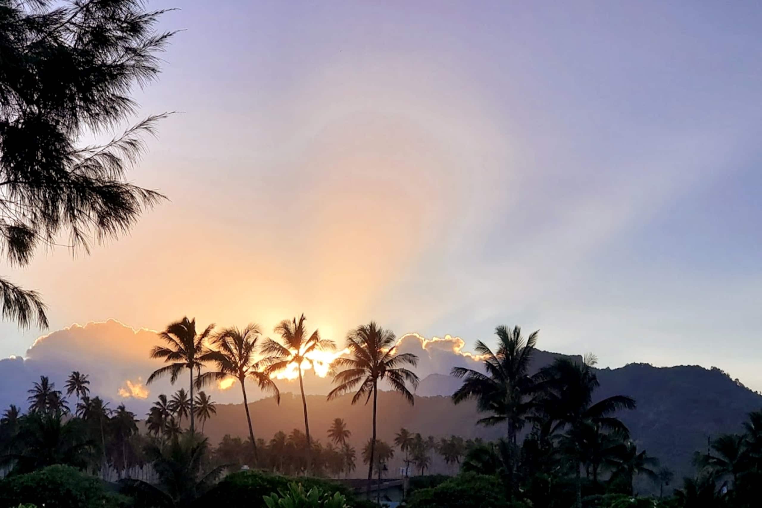 Distinctive 1 BR w/lanai 5 min to beach - Photo 49