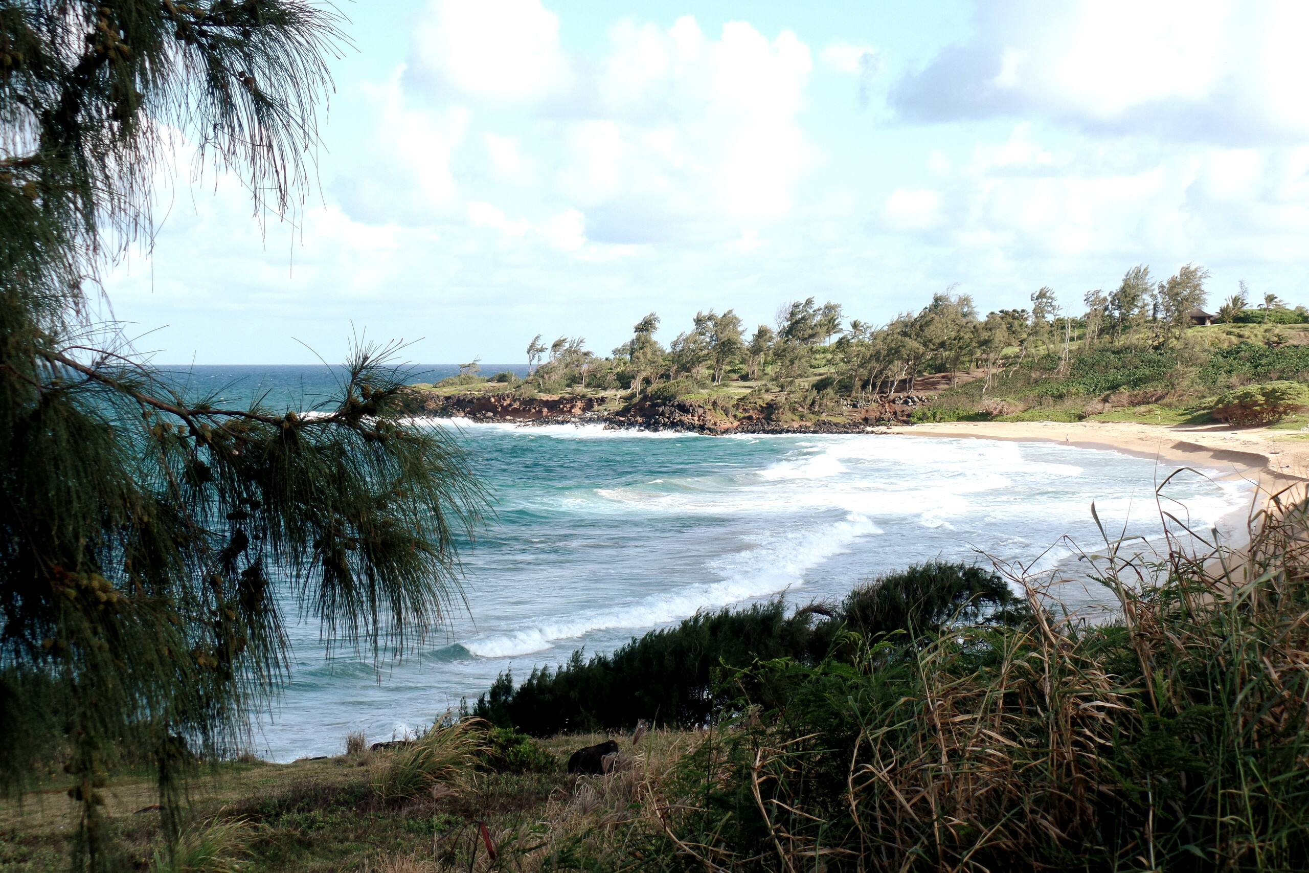 Distinctive 1 BR w/lanai 5 min to beach - Photo 43