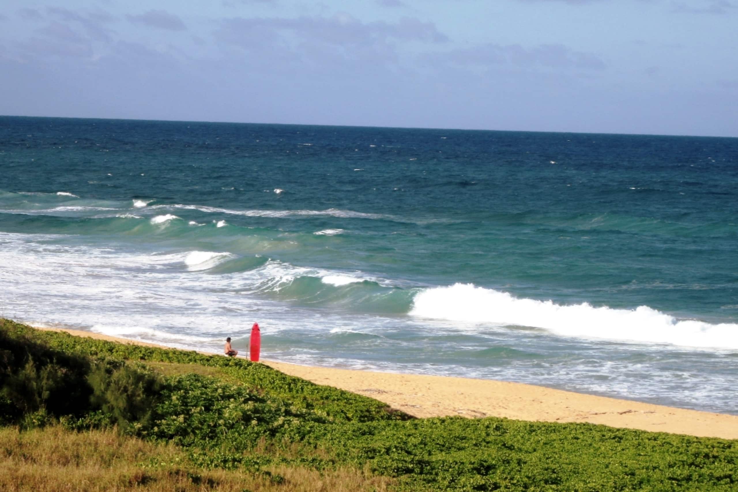 Distinctive 1 BR w/lanai 5 min to beach - Photo 42