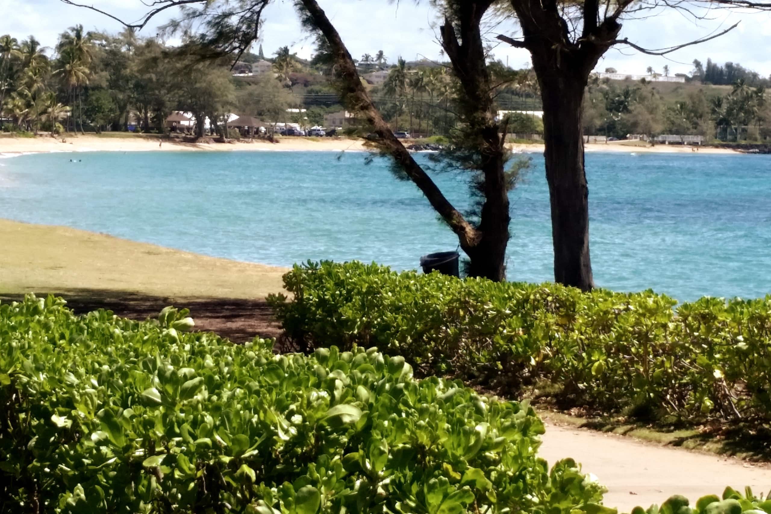 Distinctive 1 BR w/lanai 5 min to beach - Photo 40