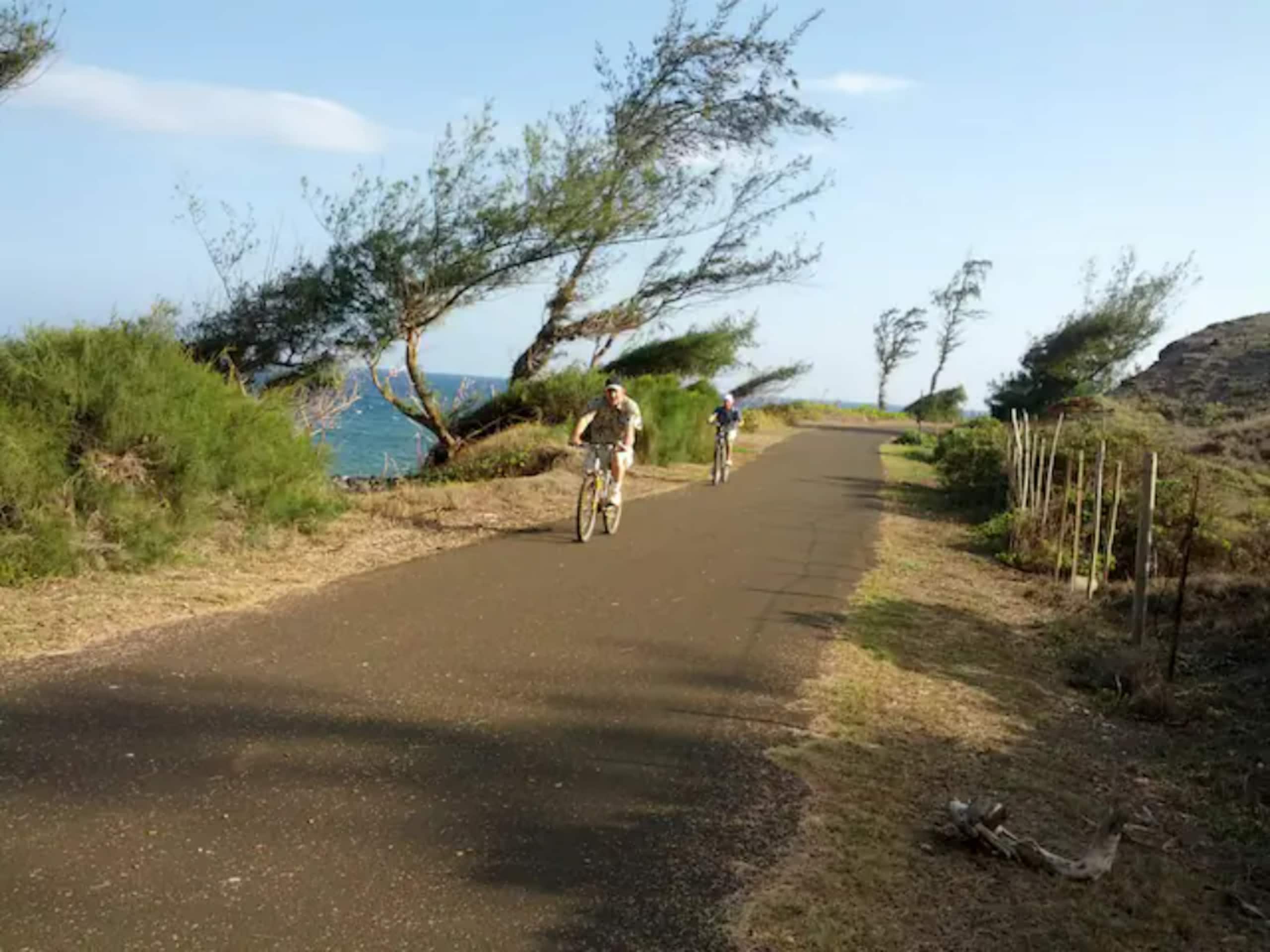 Distinctive 1 BR w/lanai 5 min to beach - Photo 48