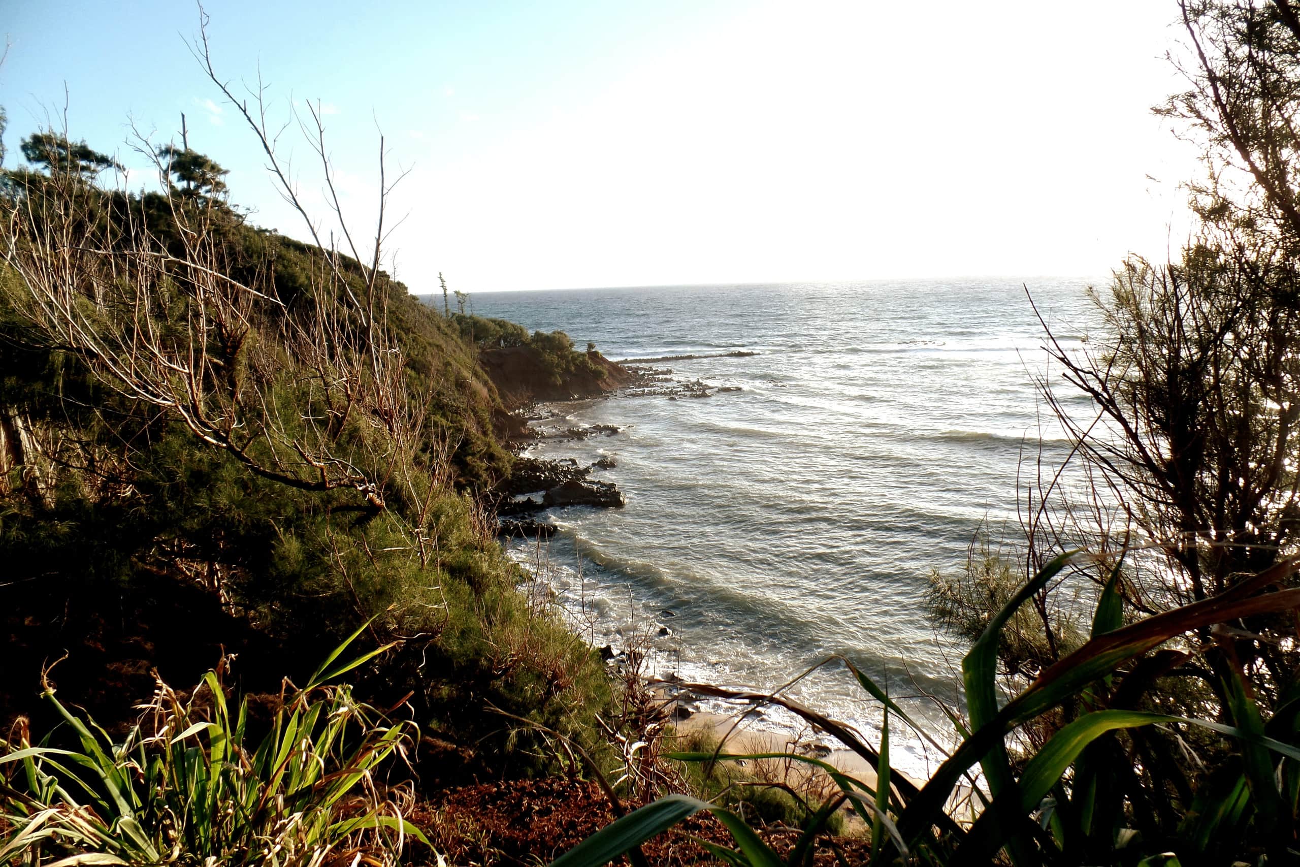 Distinctive 1 BR w/lanai 5 min to beach - Photo 46
