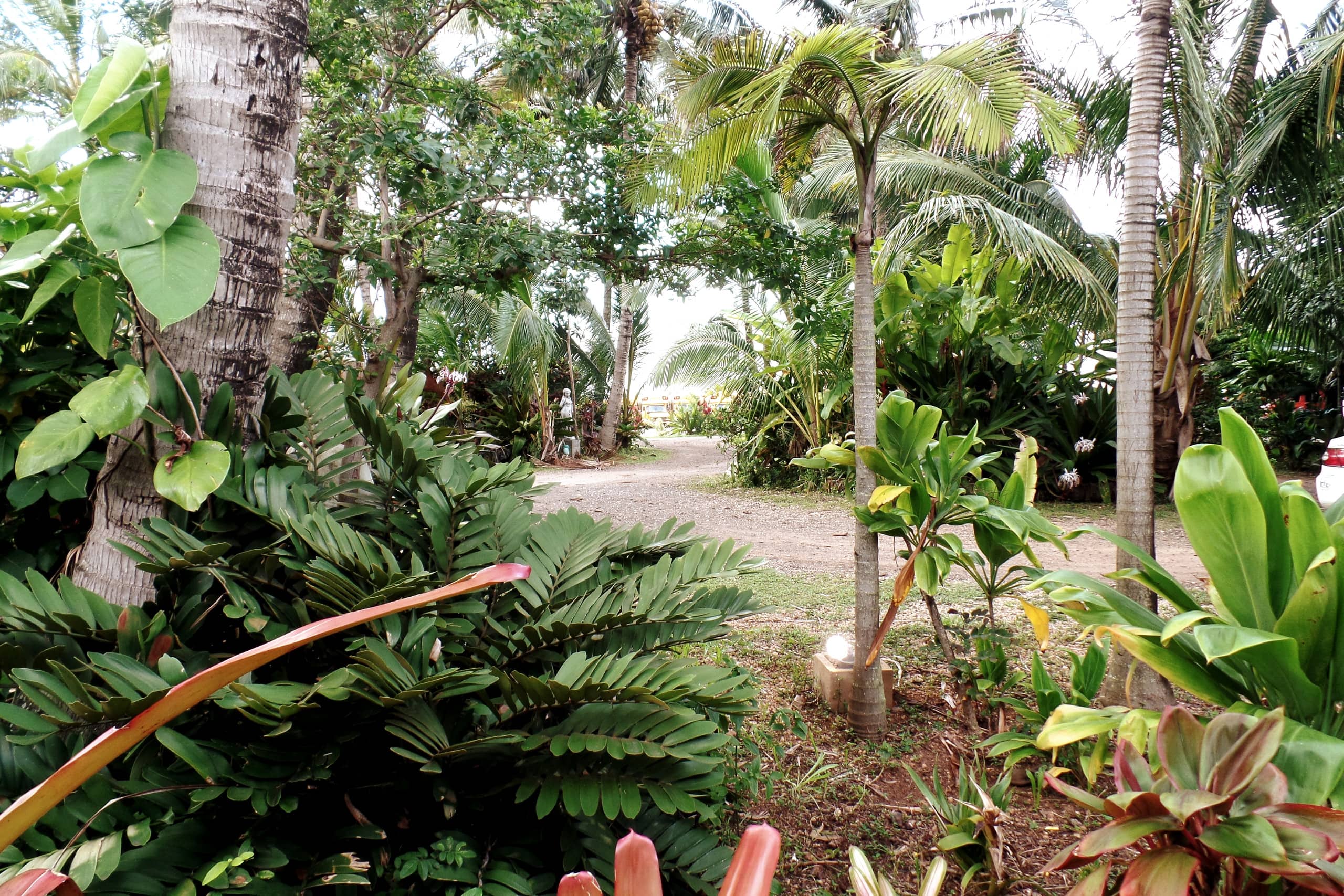Distinctive 1 BR w/lanai 5 min to beach - Photo 24