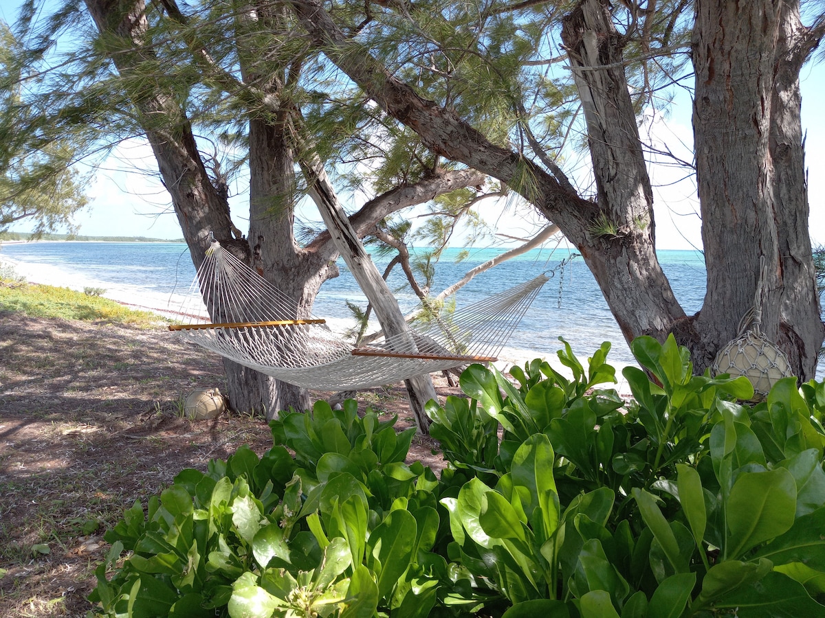 A hammock is suspended between two trees, offering a relaxed spot to enjoy views of the ocean. Lush green foliage is visible in the foreground, complementing the serene coastal landscape and gently swaying branches in the breeze.