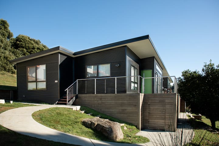 Lake View Derby ‘Briseis’