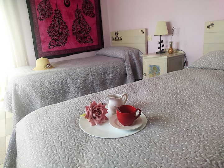 غرفة بسريرين، تواجه الجنوب ومخرجًا إلى الشرفة. 