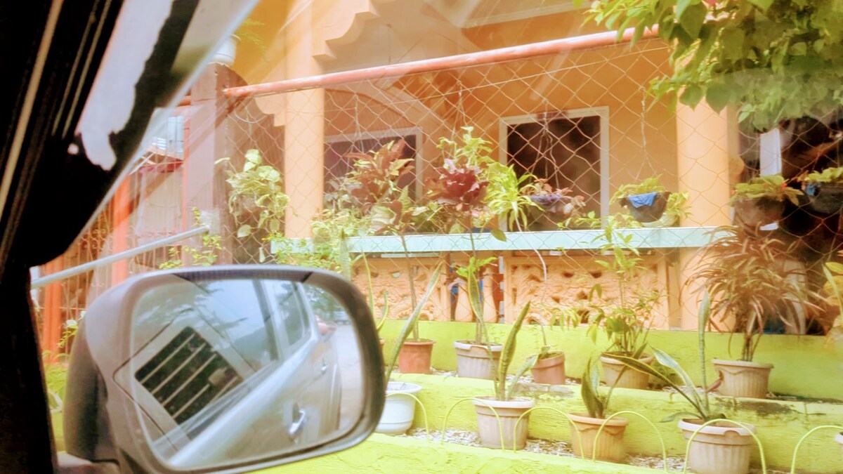 A view from a car showcases a property with a green, landscaped area featuring potted plants along a pathway. The house's facade includes multiple windows adorned with greenery, all visible through a mesh fence that frames the scene.