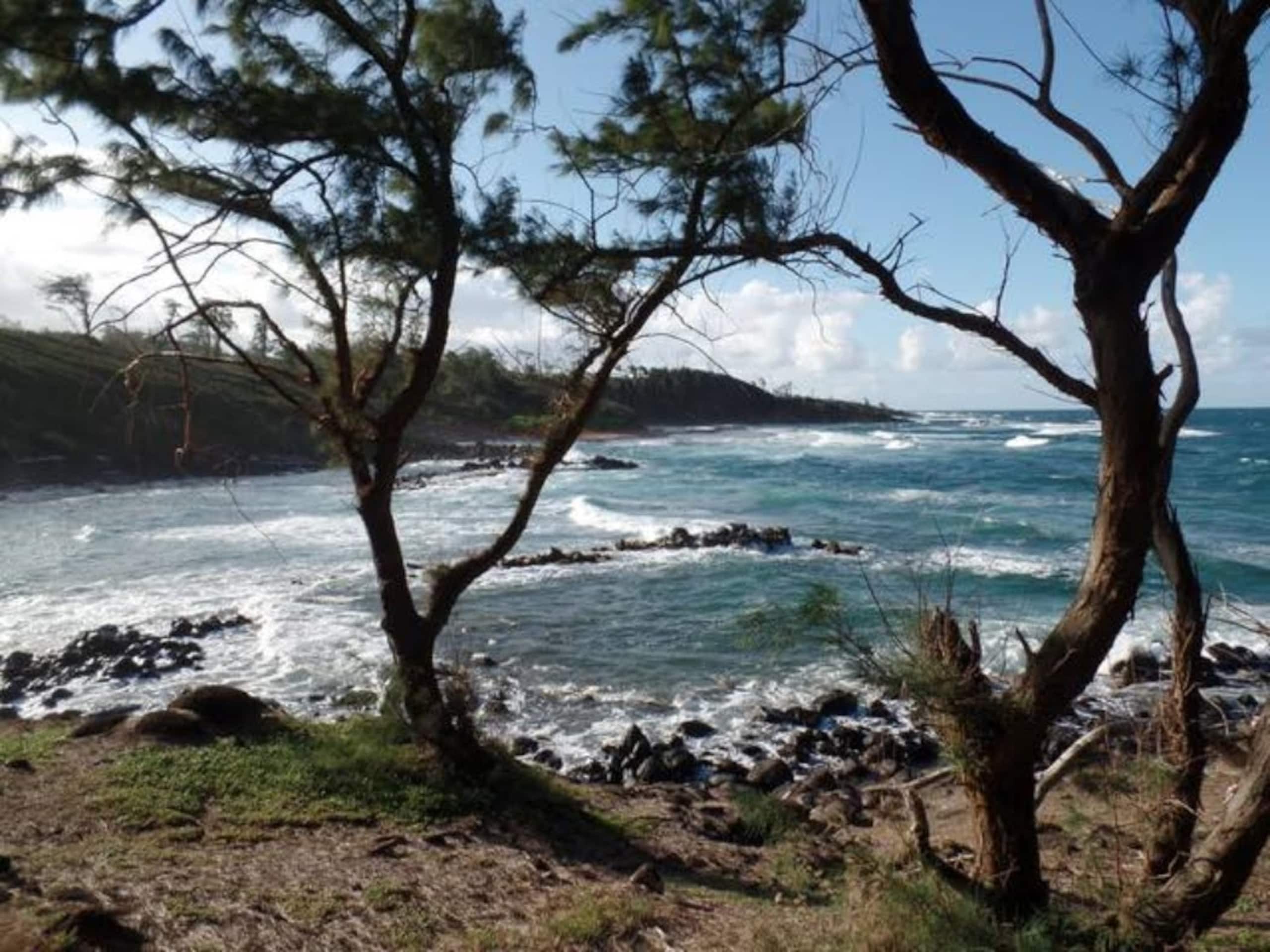 Charming Studio 2 blocks to beach - Photo 46