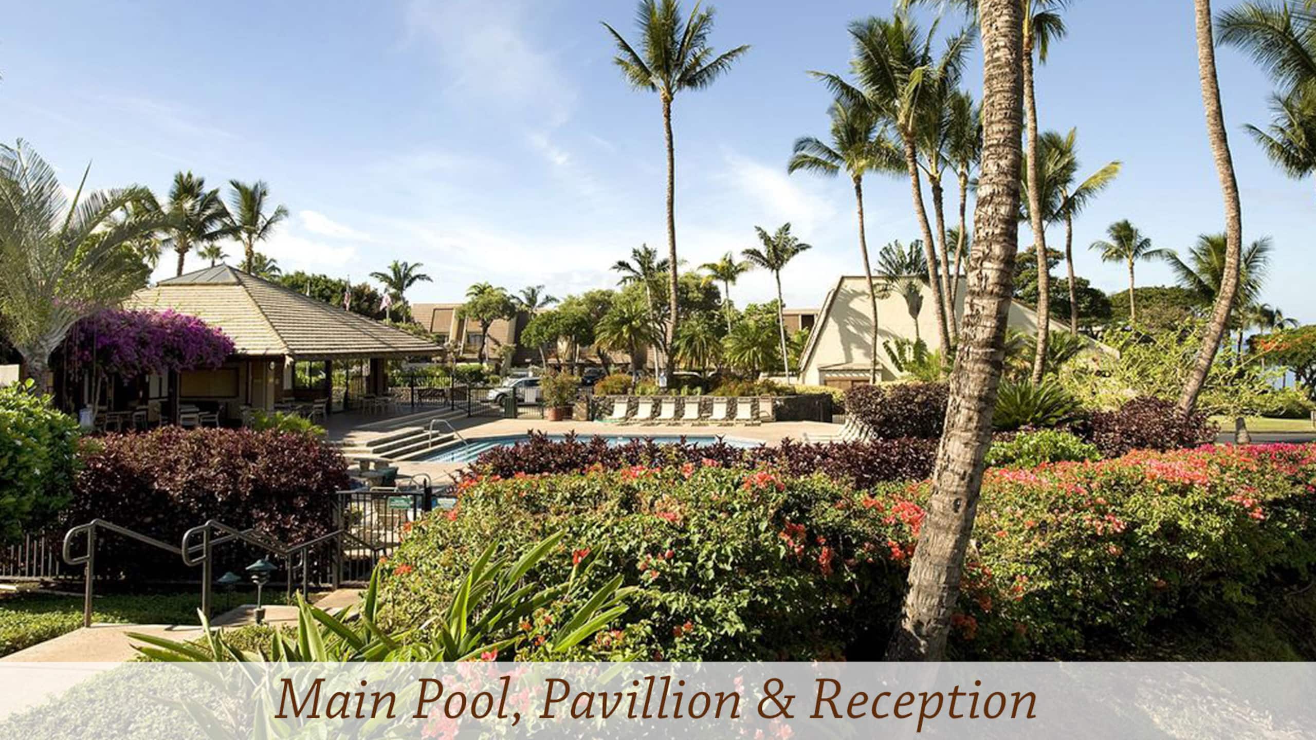 Condo in Kihei · ★4.97 · 1 bedroom · 2 beds · 2 private baths - Image 18