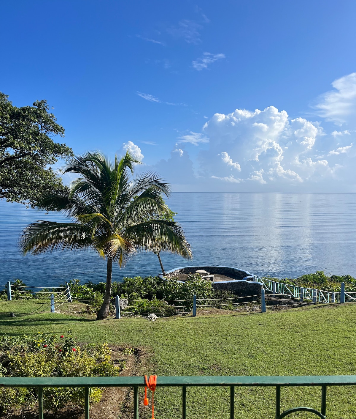 A lush green garden is enhanced by a tall palm tree, overlooking calm ocean waters. The horizon is adorned with fluffy clouds against a bright blue sky. A stone pathway leads from the garden to the water, suggesting tranquility and natural beauty.