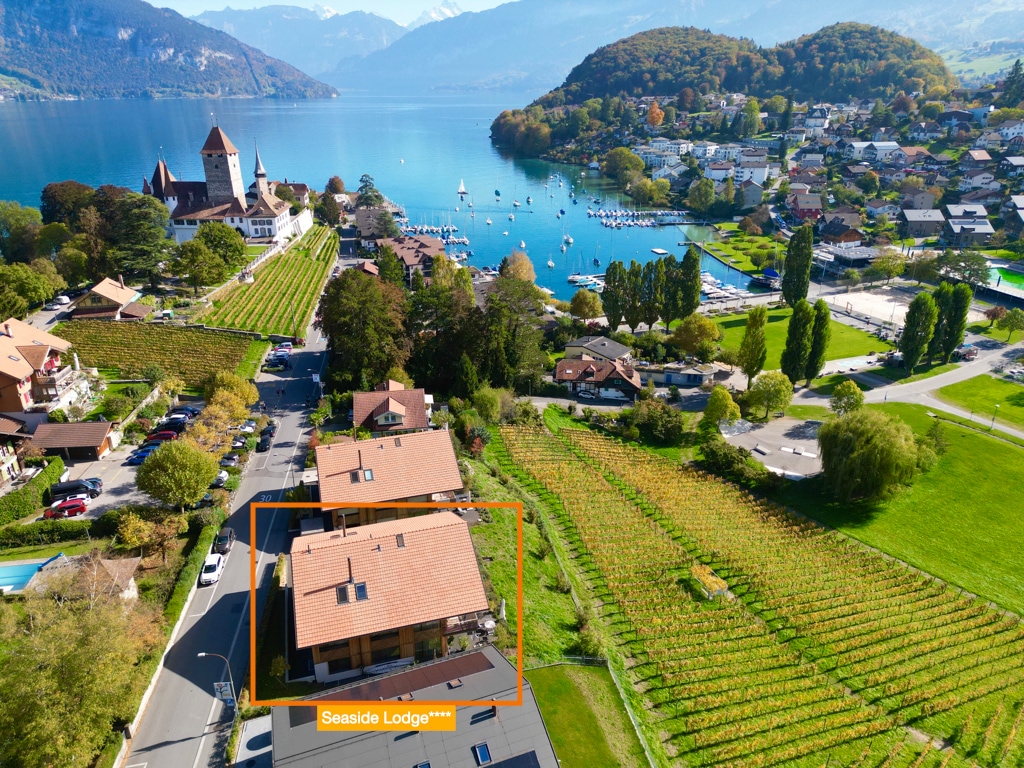 The Seaside Lodge is positioned among lush vineyards, with stunning views of the Thunersee and nearby mountains. The surrounding area includes charming lakeside residences and greenery, creating a serene backdrop. The iconic castle adds architectural interest, while the calm water reflects the surrounding landscape.