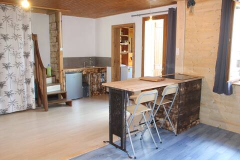 Apartment in the heart of the Bauges mountain range