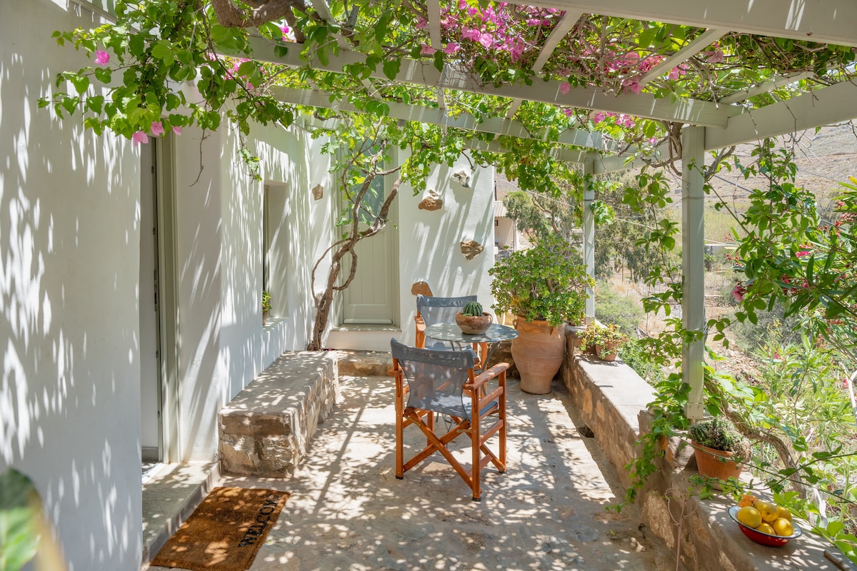 A private outdoor area offers shaded seating under a pergola adorned with flowering bougainvillea. A wooden table is accompanied by a chair, surrounded by lush greenery and terracotta pots, enhancing the tranquil atmosphere of the space.