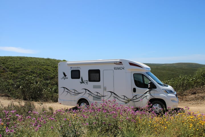 Autocaravana ÁGuia Ou Similar - Azeitão