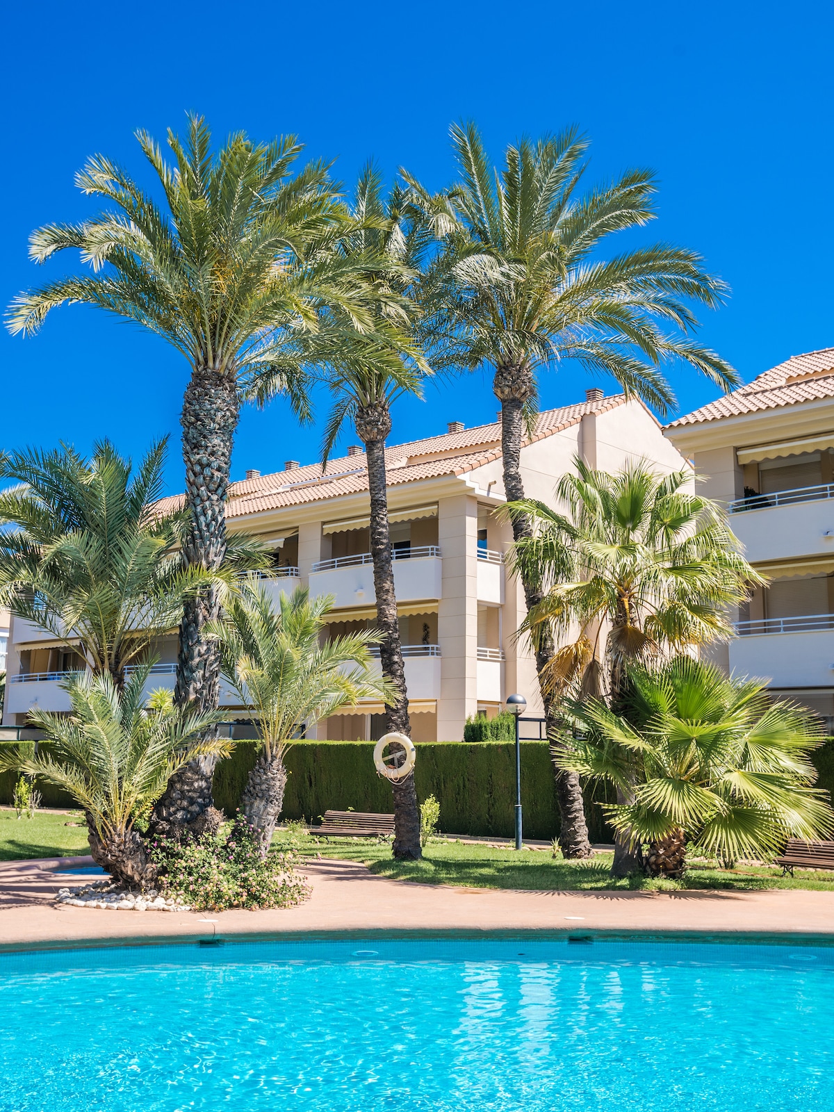 The image showcases a verdant landscape featuring several tall palm trees surrounding a clear blue pool. The backdrop consists of a three-story building, with balconies overlooking the pool area and lush garden. Sunlight brightens the scene against a clear blue sky.