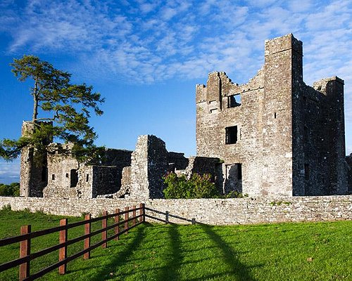 A historic stone ruin is observed in a green landscape, with a tall tree emerging from its structure. The weathered walls display openings and irregular shapes, while a wooden fence borders the foreground. A blue sky with scattered clouds enhances the scene.