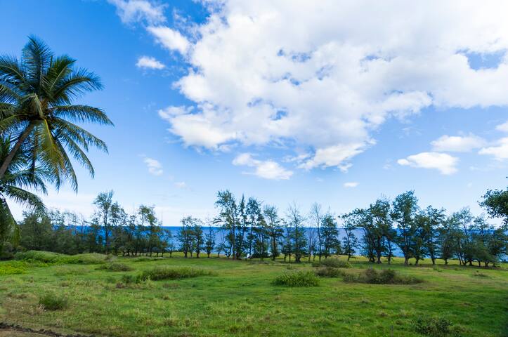 Hana Ocean Front Paradise gallery image 3